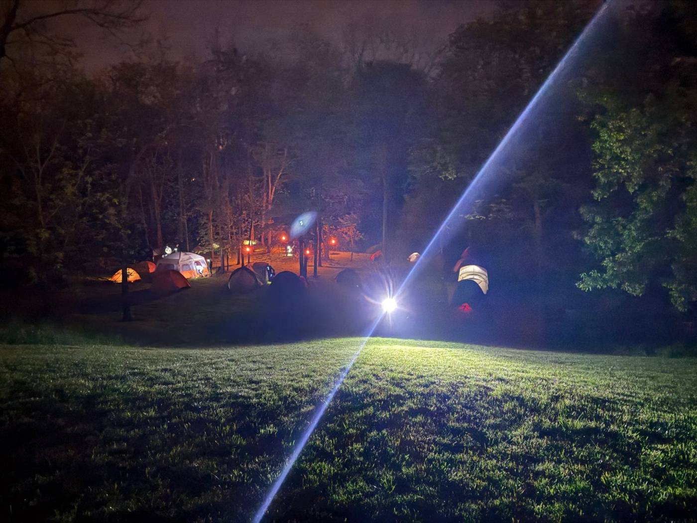 Tents glowing in the trees at night